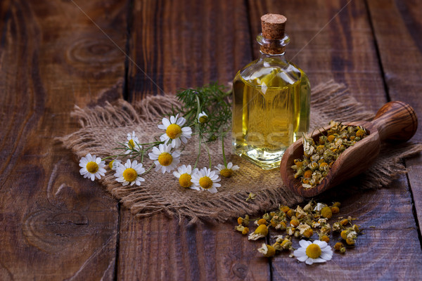 Kamille olie aromatherapie drogen kruiden alternatieve geneeskunde Stockfoto © Lana_M
