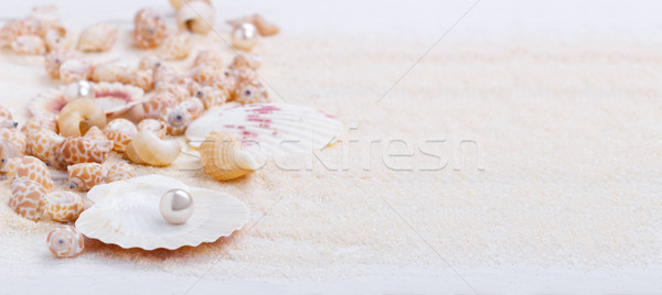 sea shells on sand Stock photo © Lana_M