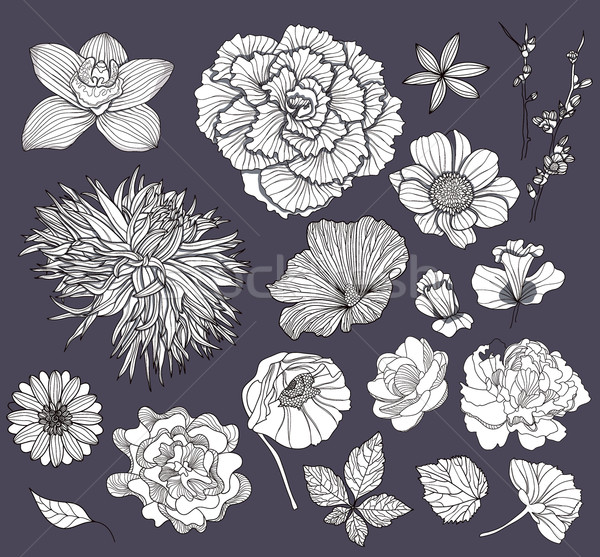 Set flori element hârtie primăvară Imagine de stoc © lapesnape