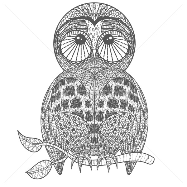 Cute búho resumen diseno aves Foto stock © lapesnape