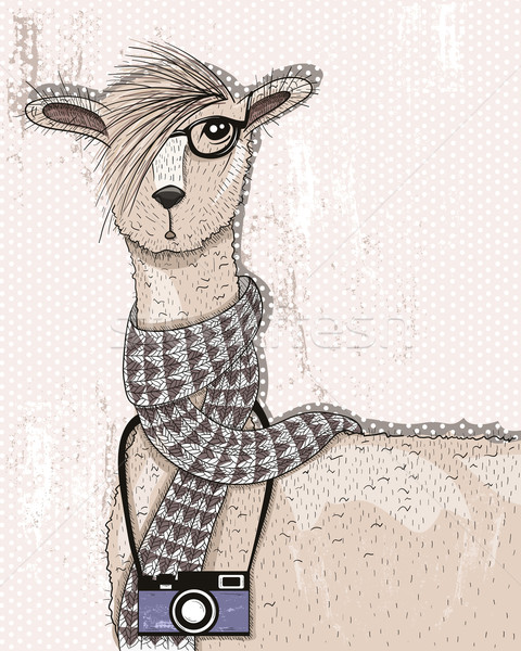 Cute hipster lama with photo camera, glasses and scarf Stock photo © lapesnape