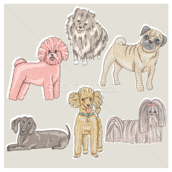 Set of cute little breed dogs. Bichon, pug, spitz, dachshund Stock photo © lapesnape