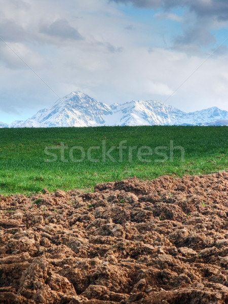 Agrícola paisaje montanas nubes hierba Foto stock © ldambies