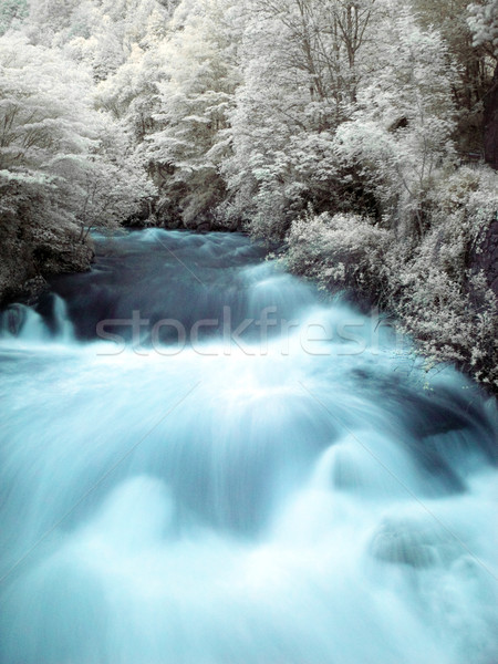 Montagna stream rallentare movimento potente infrarossi Foto d'archivio © ldambies