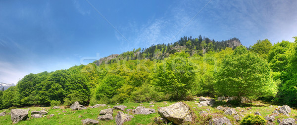 Mountain panoramic landscape Stock photo © ldambies
