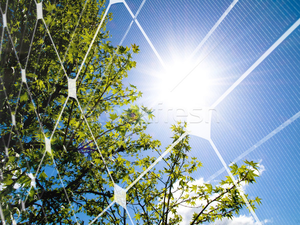 Stockfoto: Zonne-energie · boom · voorjaar · zon · fotovoltaïsche · paneel