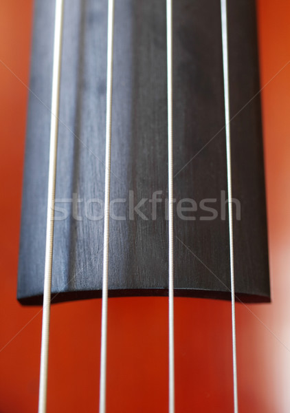 Cello primer plano enfoque concierto violín Foto stock © ldambies