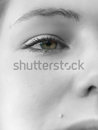 Beautiful look Stock photo © ldambies