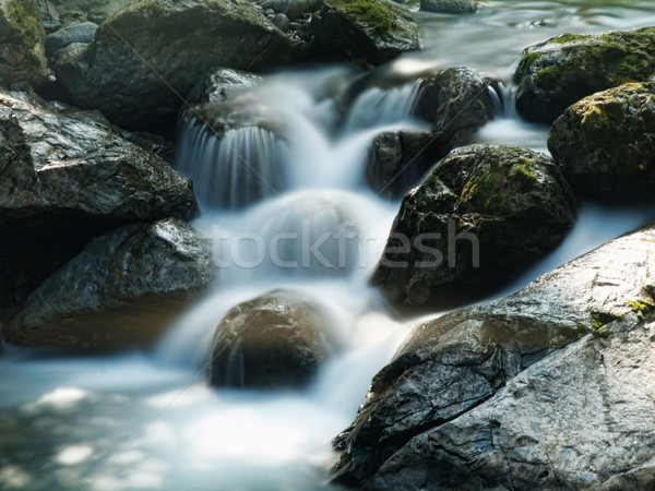 Piękna górskich strumienia powolny ruchu charakter Zdjęcia stock © ldambies