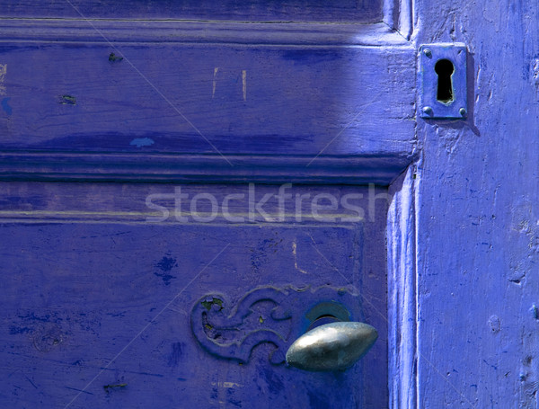 Vintage blue door Stock photo © ldambies