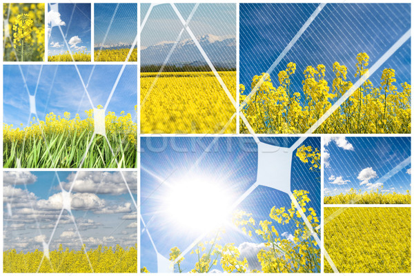 Alternativ energie fotovoltaice panou floare Imagine de stoc © ldambies