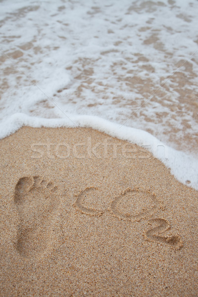 Empreinte carbone empreinte carbone plage science pied Photo stock © ldambies