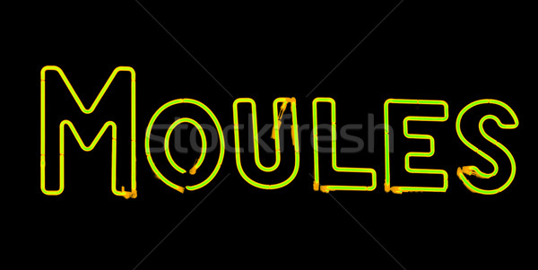 Mussel neon sign Stock photo © ldambies