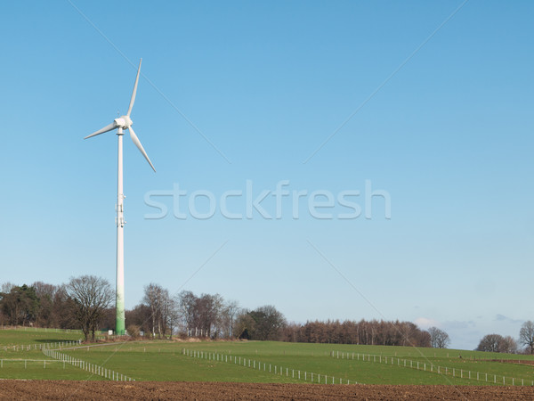 Turbina wiatrowa energii Błękitne niebo blisko niebo drzewo Zdjęcia stock © ldambies