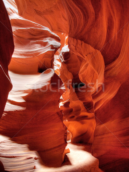 Canyon berühmt Seite Arizona Natur Landschaft Stock foto © ldambies