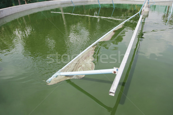 Spirulina harvesting Stock photo © ldambies