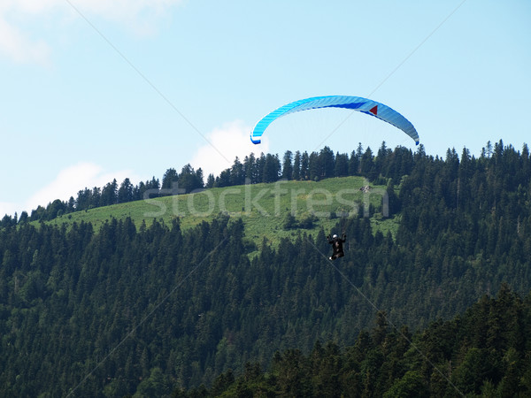 Paragliding Stock photo © ldambies