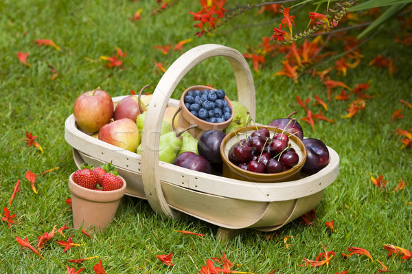 trug of summer fruit Stock photo © leeavison