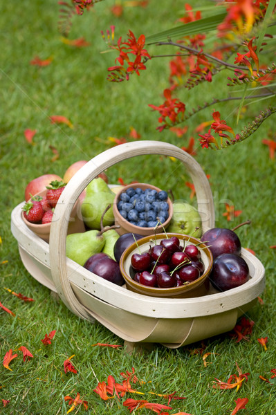 Fructe de vara afine cireşe mere pere căpşune Imagine de stoc © leeavison