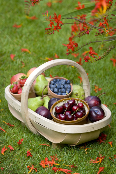 Fruits d'été bleuets cerises pommes poires fraises [[stock_photo]] © leeavison