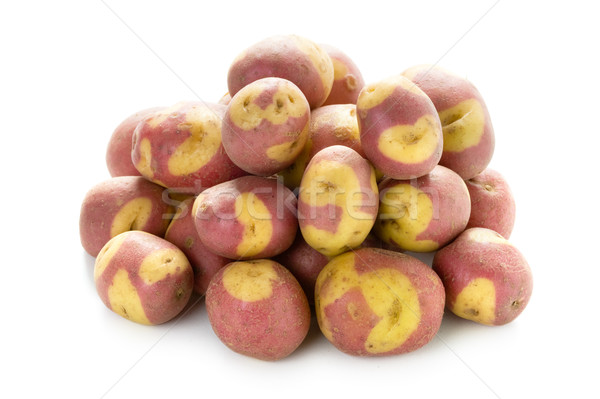 apache potatoes Stock photo © leeavison