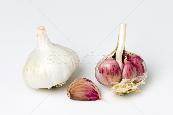 garlic bulb and cloves Stock photo © leeavison