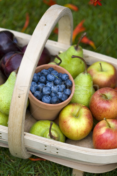Yaz meyve yaban mersini kiraz elma armut çilek Stok fotoğraf © leeavison