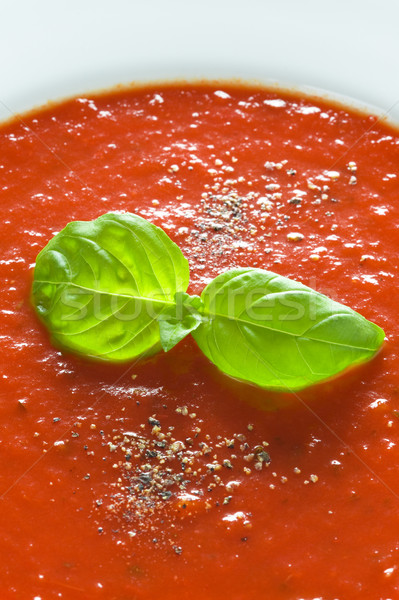 Manjericão enfeite molho de tomate fresco sopa de tomate molho Foto stock © leeavison