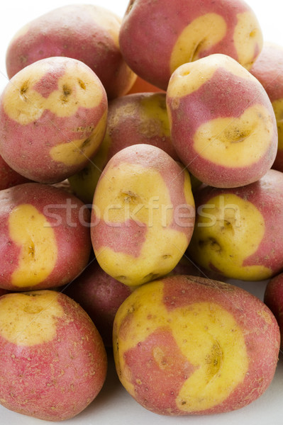 apache potatoes Stock photo © leeavison