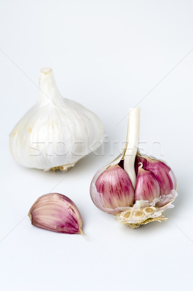 Aglio lampadina chiodi di garofano bianco Foto d'archivio © leeavison