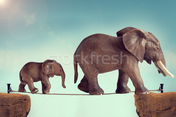 Foto stock: Mãe · bebê · elefante · corda · esticada · criança · montanha