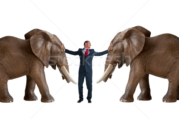 Stock fotó: üzlet · közvetítés · elefánt · ötlet · megállapodás · fehér · háttér