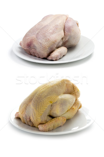 Stock photo: raw chicken factory farmed and free range organic corn fed compa