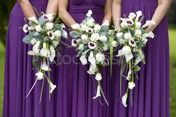 Drie bruiloft paars jurken vrouwen Stockfoto © leeavison