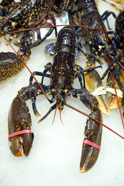 lobster for sale Stock photo © leeavison