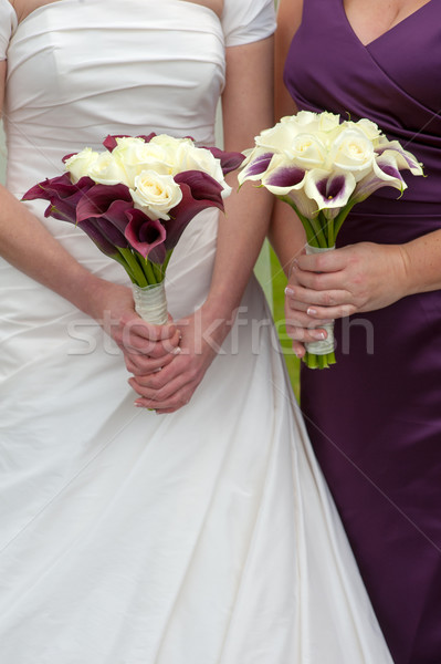 Mireasă domnisoara de onoare nuntă violet alb Imagine de stoc © leeavison