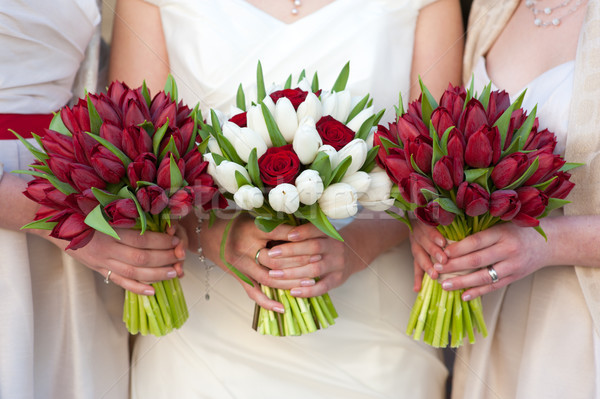 紅色 白 鬱金香 玫瑰 婚禮 新娘 商業照片 © leeavison