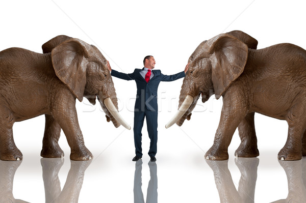 Business herausfordern Mediation Elefanten Konzept Vereinbarung Stock foto © leeavison