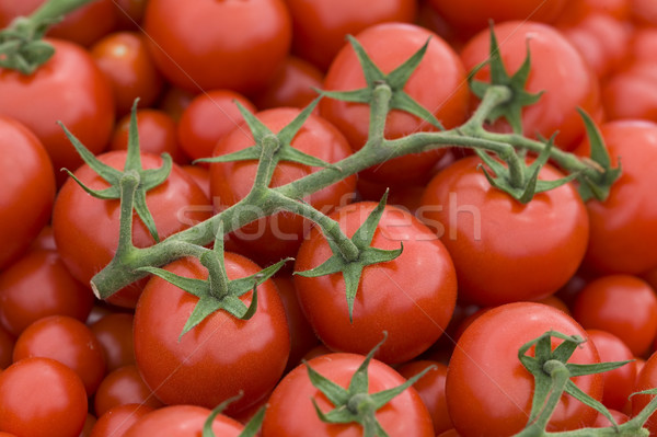 tomato on the vine Stock photo © leeavison