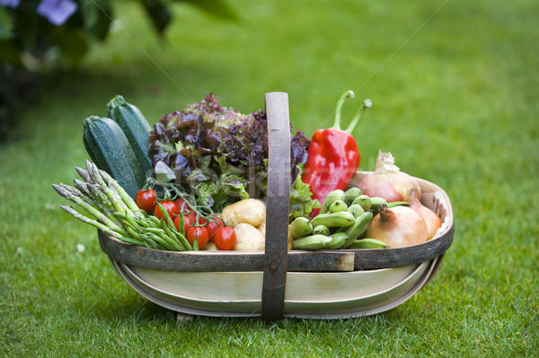 [[stock_photo]]: Légumes · maison · augmenté · bois · jardin