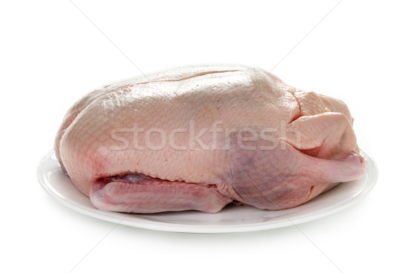 Ente bereit Koch vorbereitet isoliert Stock foto © leeavison