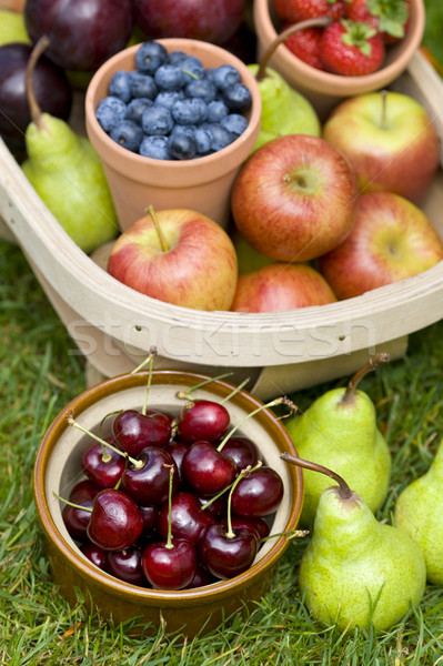 Fructe de vara afine cireşe mere pere căpşune Imagine de stoc © leeavison