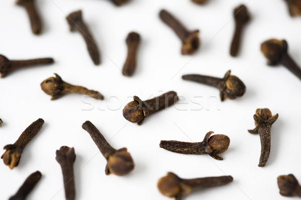 cloves on a white background Stock photo © leeavison