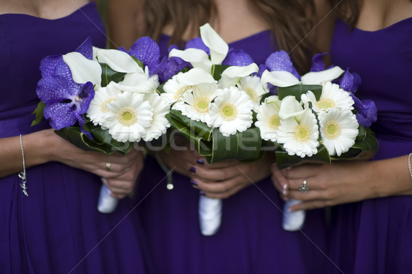 Blume halten weiß Lilien lila Orchideen Stock foto © leeavison