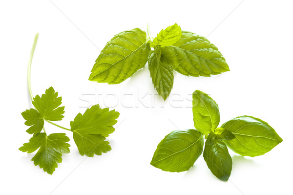 Erbe guarnire isolato erbe prezzemolo menta Foto d'archivio © leeavison