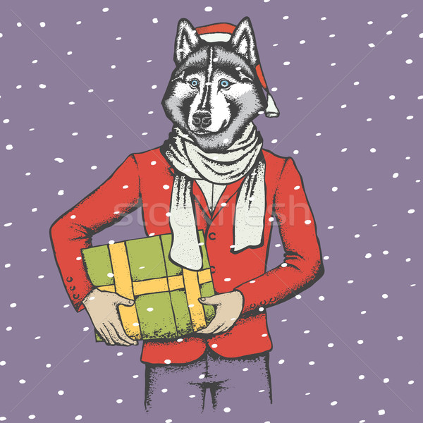 Husky christmas wektora psa ludzi garnitur Zdjęcia stock © leedsn