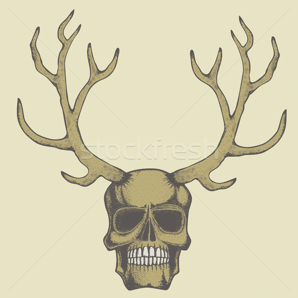 Vector skull illustration Stock photo © leedsn
