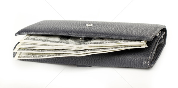 США долларов бумажник изолированный белый Финансы Сток-фото © leedsn