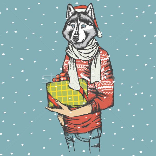 Husky christmas wektora psa ludzi Zdjęcia stock © leedsn