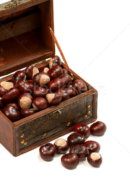 Chest With Chestnut Stock photo © leedsn
